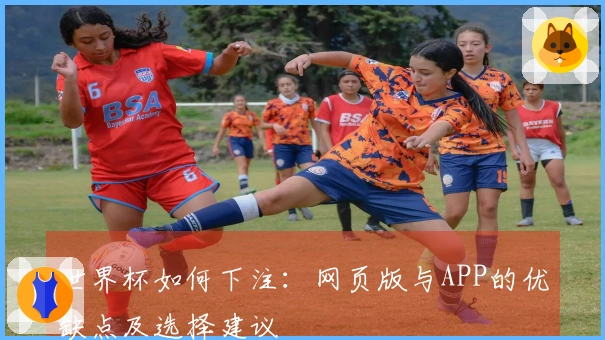 世界杯如何下注：网页版与APP的优缺点及选择建议