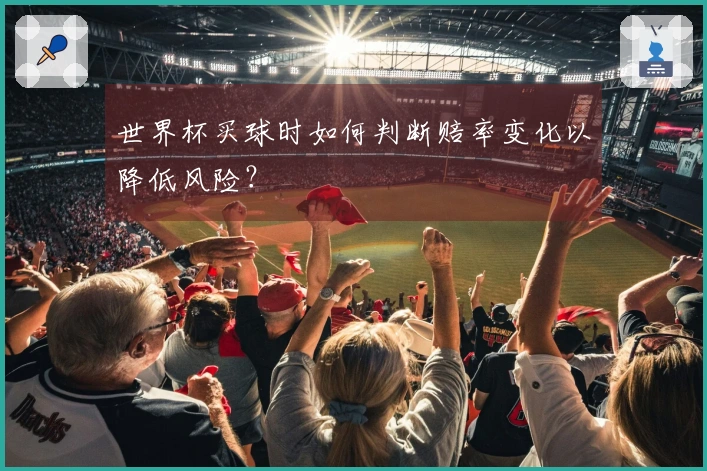 世界杯买球时如何判断赔率变化以降低风险？