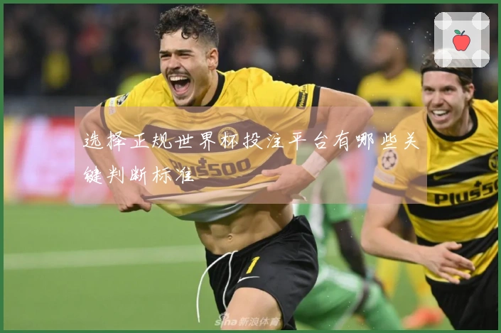 选择正规世界杯投注平台有哪些关键判断标准