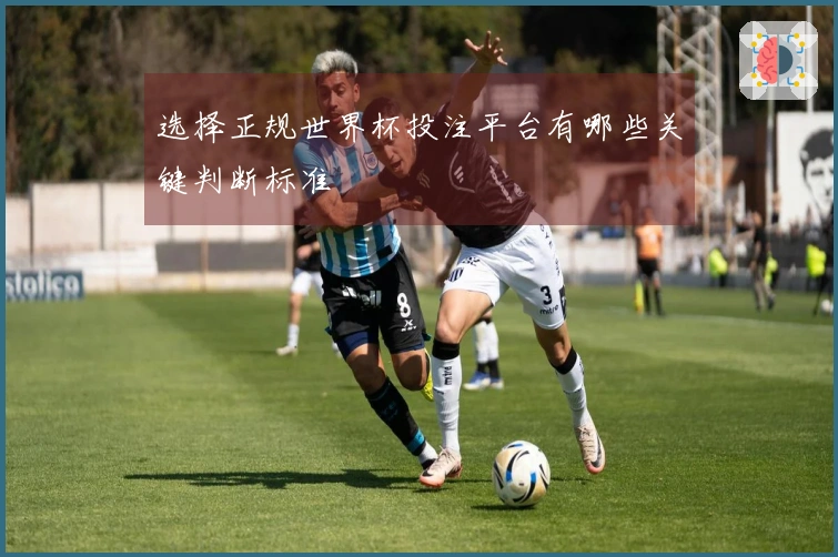 选择正规世界杯投注平台有哪些关键判断标准